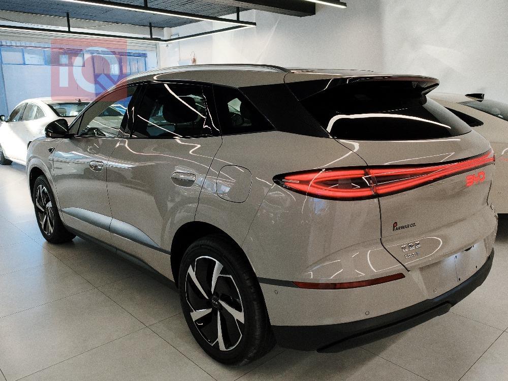 بي واي دي سيليون 06 DM-i